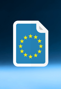 immagine Sistema di Informazione Visti (VIS)